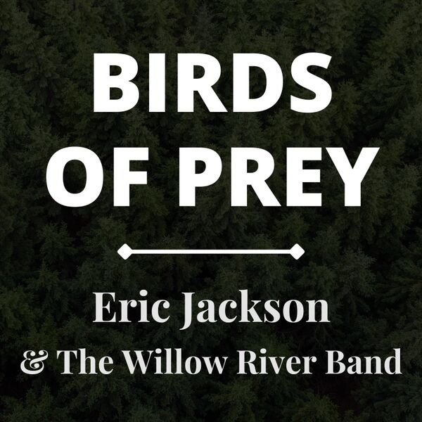 Cover art for Birds of Prey